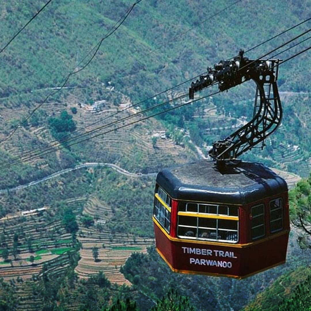 Timber Trail Parwanoo